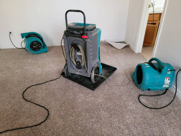 Best Flood damage cleanup  in East Rancho Dominguez, CA