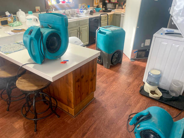 Best Commercial water damage restoration  in East Rancho Dominguez, CA