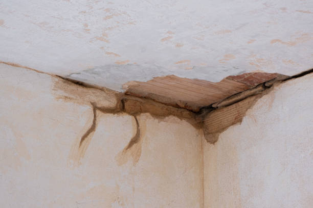 Best Water damage restoration near me  in East Rancho Dominguez, CA