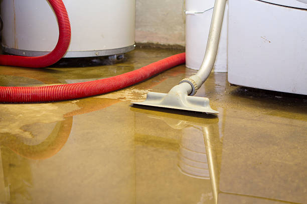Reliable East Rancho Dominguez, CA Water damage restoration Solutions
