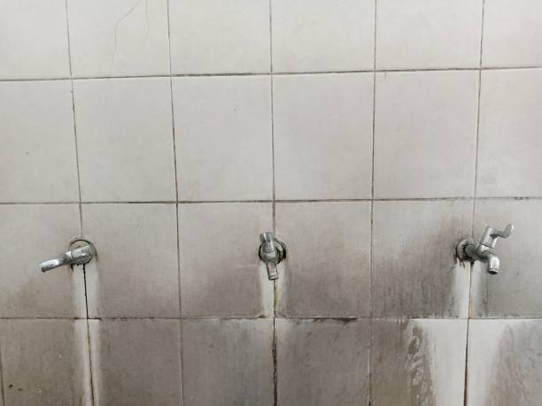 Best Emergency water damage restoration  in East Rancho Dominguez, CA