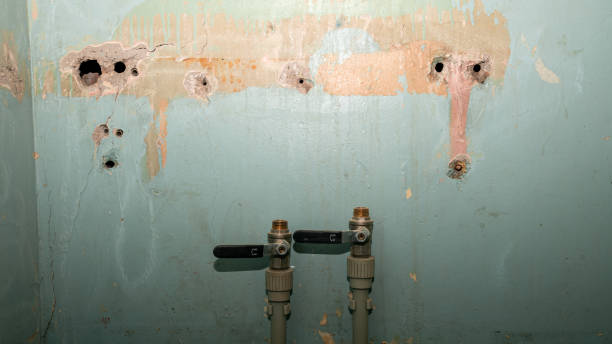 Best 24/7 water damage repair  in East Rancho Dominguez, CA