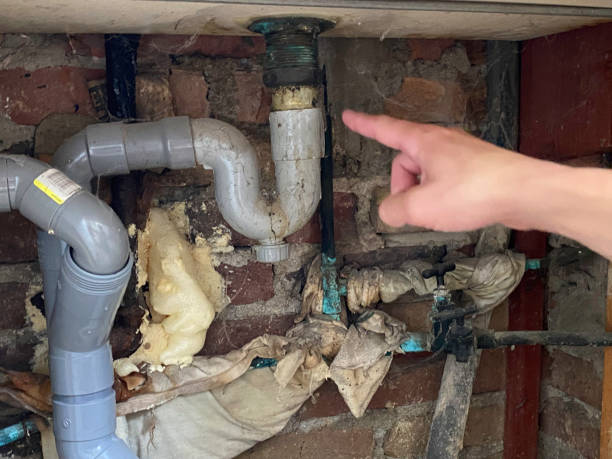 Best Carpet water damage restoration  in East Rancho Dominguez, CA