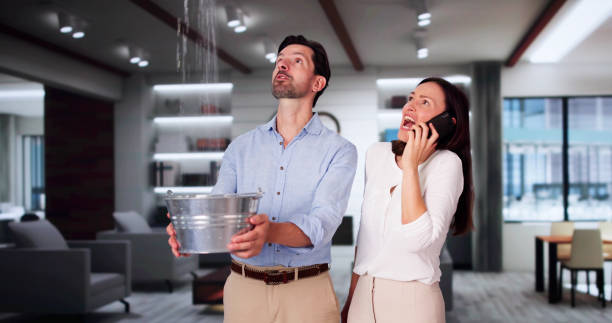 Best Local water damage restoration  in East Rancho Dominguez, CA
