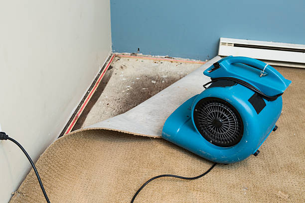 Best Sewage cleanup and water damage restoration  in East Rancho Dominguez, CA